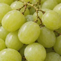 Green Grapes