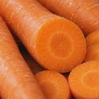 Orange Carrots