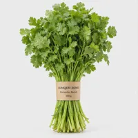 Coriander Bunch
