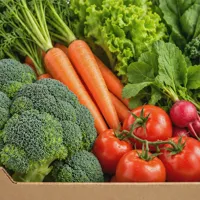Medium Vegetable Box