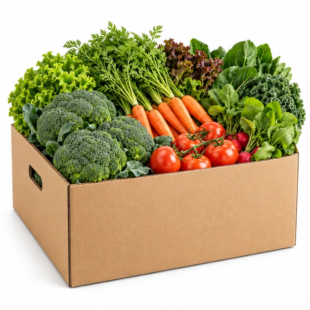 Large Vegetable Box