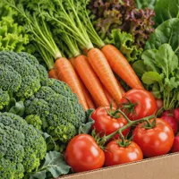 Large Vegetable Box