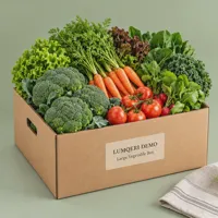 Large Vegetable Box