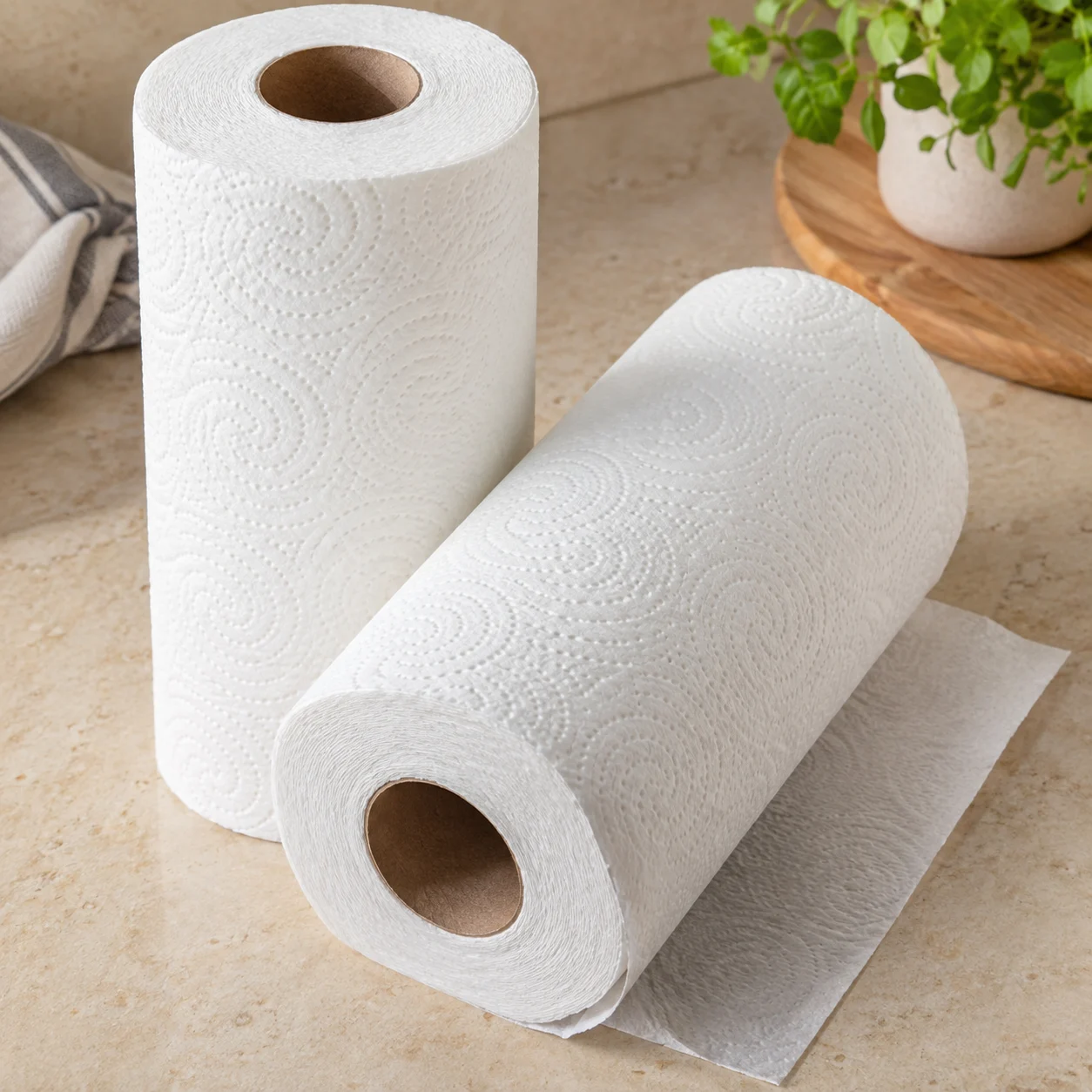 Kitchen paper towels, 2 rolls — serving inspiration